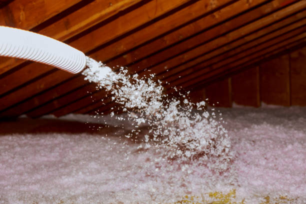 Best Insulation Maintenance and Repair in Brooklyn Park, MN