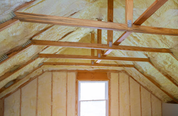 Best Specialty Insulation in Brooklyn Park, MN