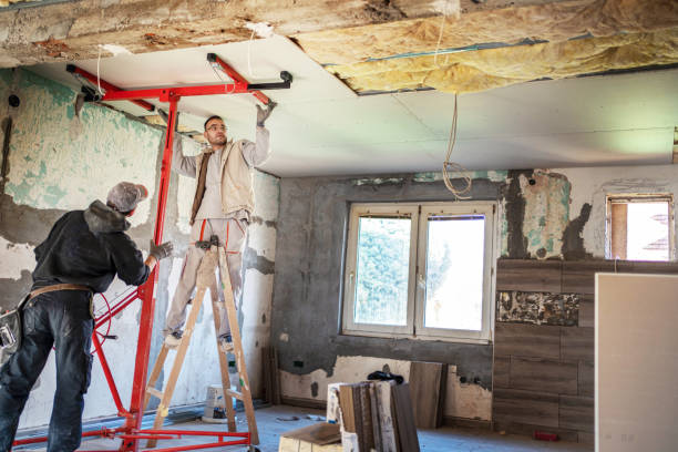 Best Residential Insulation in Brooklyn Park, MN