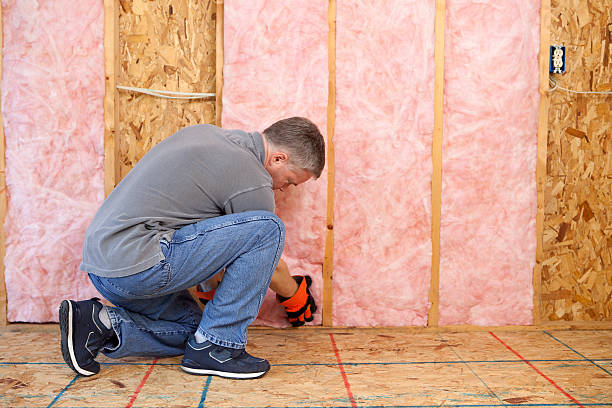 Best Energy Efficiency Solutions in Brooklyn Park, MN
