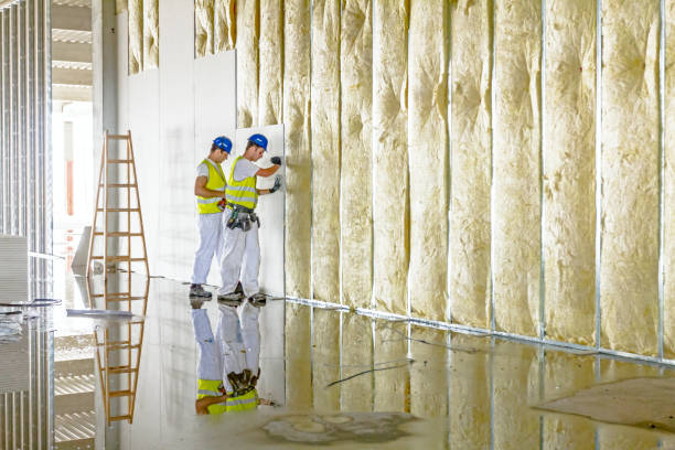 Best Insulation for Specific Applications in Brooklyn Park, MN
